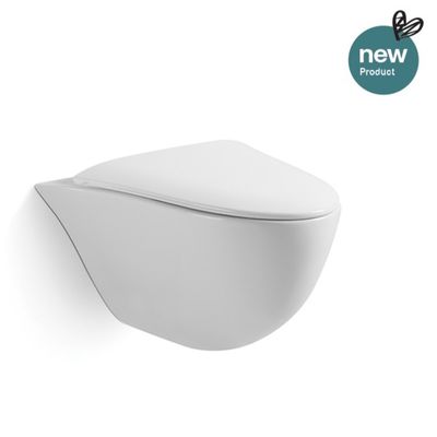 Special Shapes Wall Mounted Hidden Cistern Toilet Water Saving Single Hole