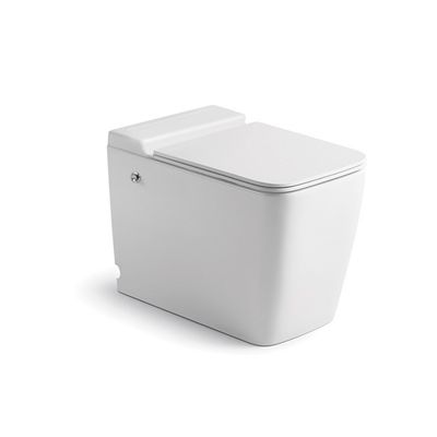 Modern Pulse Tankless Toilet Floor Mounted WC For Bathroom