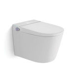 High-Performance and Functional Modern Smart Toilet with Built-in Ceramic Water Tank for Commercial