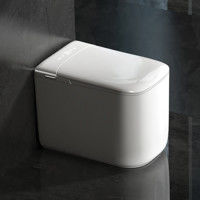Modern Intelligent Toilet with Built-in Water Tank for Commercial Spaces and Modern Design in Hospital