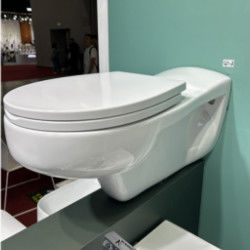 Wall Hung Disabled Ceramic Toilet Set For Public And Private Restrooms