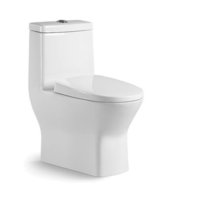 Ceramic One Piece Toilet Floor Mounted P Trap S Trap Dual Flush Elongated Bowl for Home / Hotels