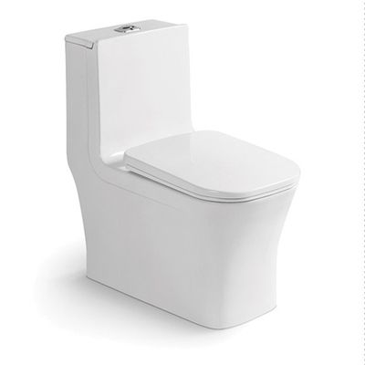 North America Modern One Piece Ceramic Siphonic Toilet Dual Flush Floor Mounted White for Bathroom