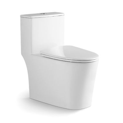 Elongated One Piece Toilet Ceramic Low Tank Siphonic Single Piece Toilet S Trap