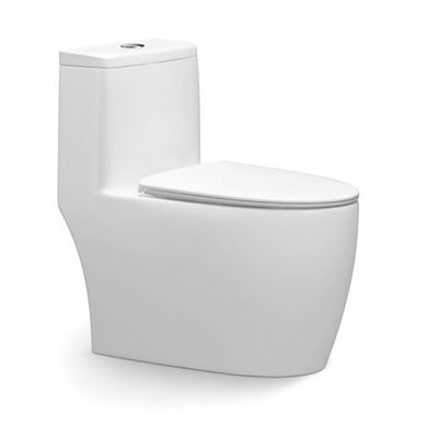 Ceramic One Piece Dual Flush Toilet Top Flush S Trap Elongated Bowl For Hotels Bathrooms