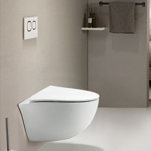 Special Shapes Wall Hung Toilet With Hidden Water Tank And Single Hole