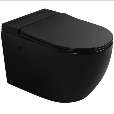 Special Design Tankless Wall Hung Toilet Matt Black Color For Luxury Hotel