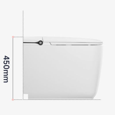 Luxury One Piece Modern Smart Toilet Automatic Ceramic Intelligent Toilet