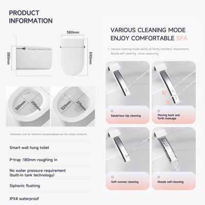 Bathroom Modern Smart Toilet Bidet AC 220V with Water Temperature Control