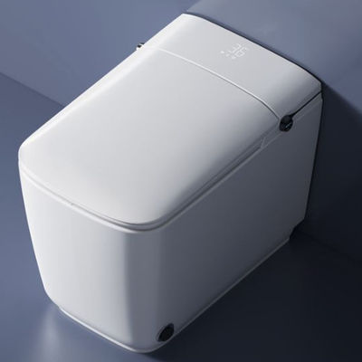 Built In Smart Toilet Bidet Elongated with Heated Seat Automatic Flush Dryer Night Light