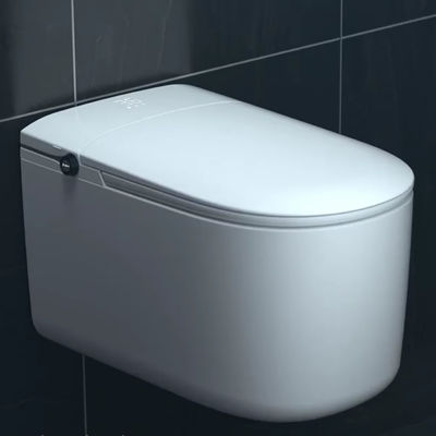 Bathroom Round Electric Automatic Toilet Bowl Smart Floor Mounted Remote Included