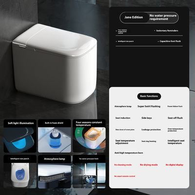 Ceramic Auto Flush One Piece Intelligent Bidet Toilet Electric for Bathroom