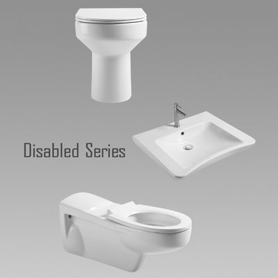 Sanitary Ware Disabled Specific One Piece Prison Toilet Set Anti Odor
