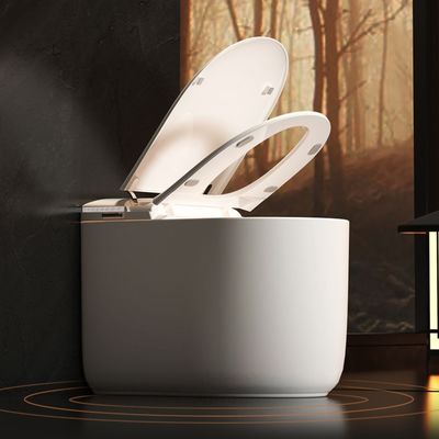 CUPC Certificate Ceramic Auto Flush One Piece Intelligent Bidet Toilets Bathroom Wc Electric Smart Intelligent Toilet