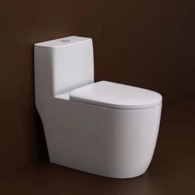 One Piece Dual Flush Toilet with Siphonic Flush Thin Rim One Piece Toilet for Top Mount or Under mount Installation
