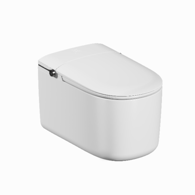 Smart Toilet with Remote Control Heated Seat Auto Flush