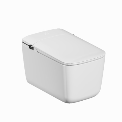 Wall Hung Smart Toilet with Bidet Heated Seat and Air Dryer