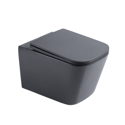 Wall Hung Toilet Set with Soft Close Seat and Rimless Bowl