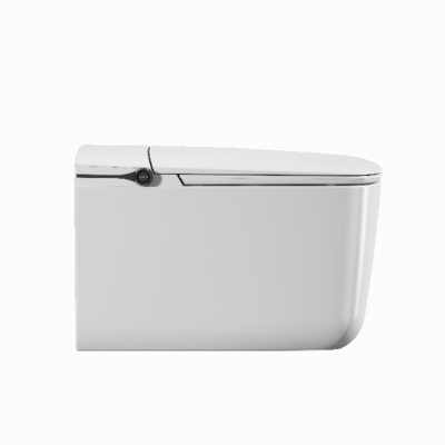 Smart Toilet with Auto Flush Heated Seat and Air Dryer