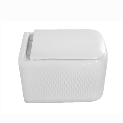 Wall Hung Toilet with Tornado Flush and Soft Close Seat