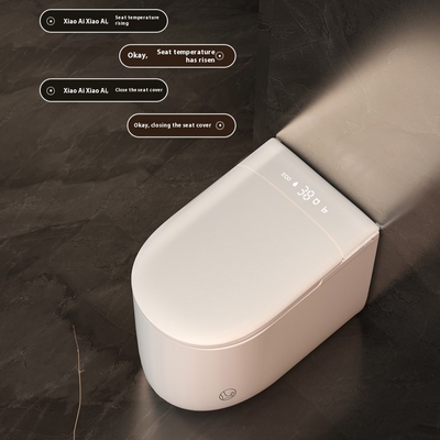 Intelligente automatische wc-schotel ronde Smart WC Bidet elektrische sanitaire artikelen voor badkamer vloer gemonteerde afstandsbediening inclusief