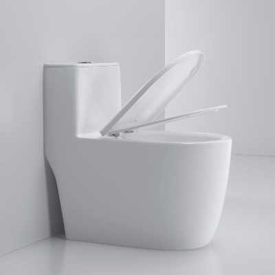 Floor High Quality S-Trap 300mm Ceramic Sanitary Ware Siphonic One Piece Toilet with Dual Flush