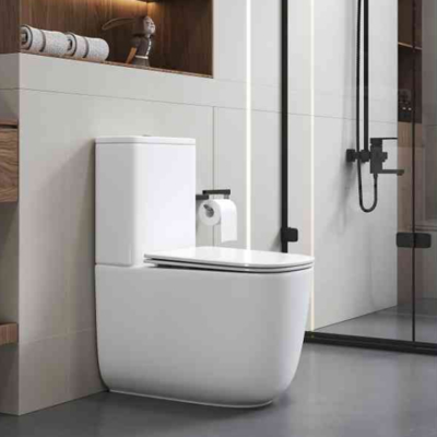 Luxury Australia Two-Piece Ceramic Toilet for Sale Watermark Feature Sanitary Toilet